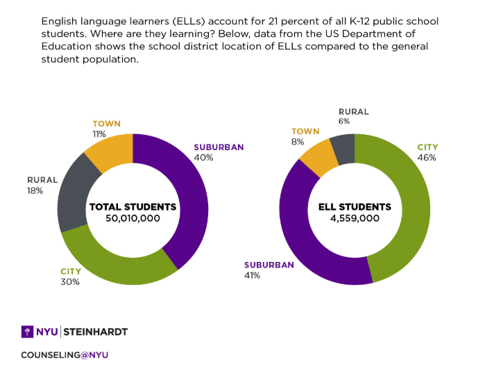 Are Schools Supporting Bicultural, Bilingual Students Enough?