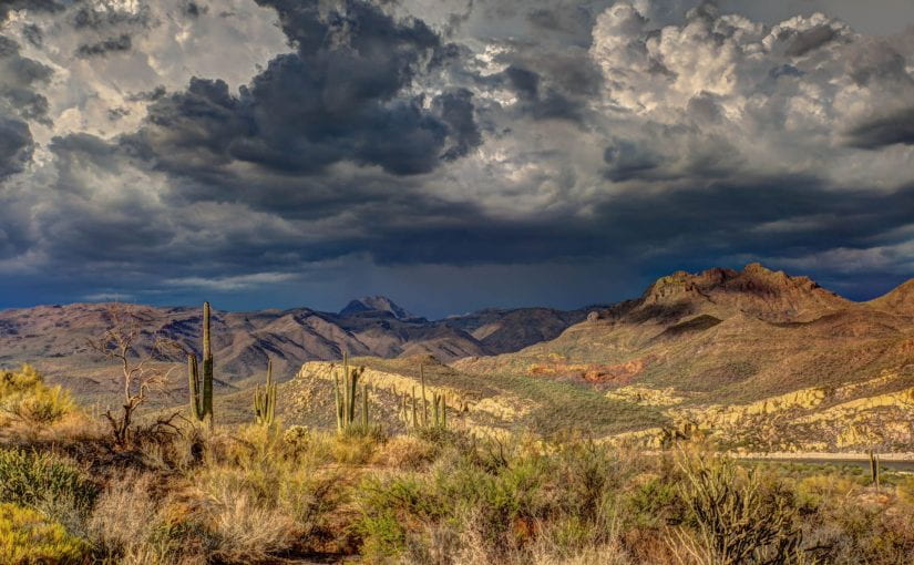 Arizona wilderness